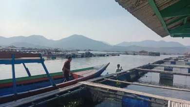 Bantah Isu Merkuri, Petani Ikan Cirata Tuntut Klarifikasi Menteri KKP