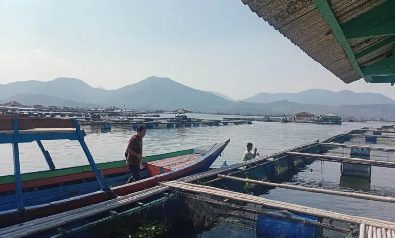 Bantah Isu Merkuri, Petani Ikan Cirata Tuntut Klarifikasi Menteri KKP