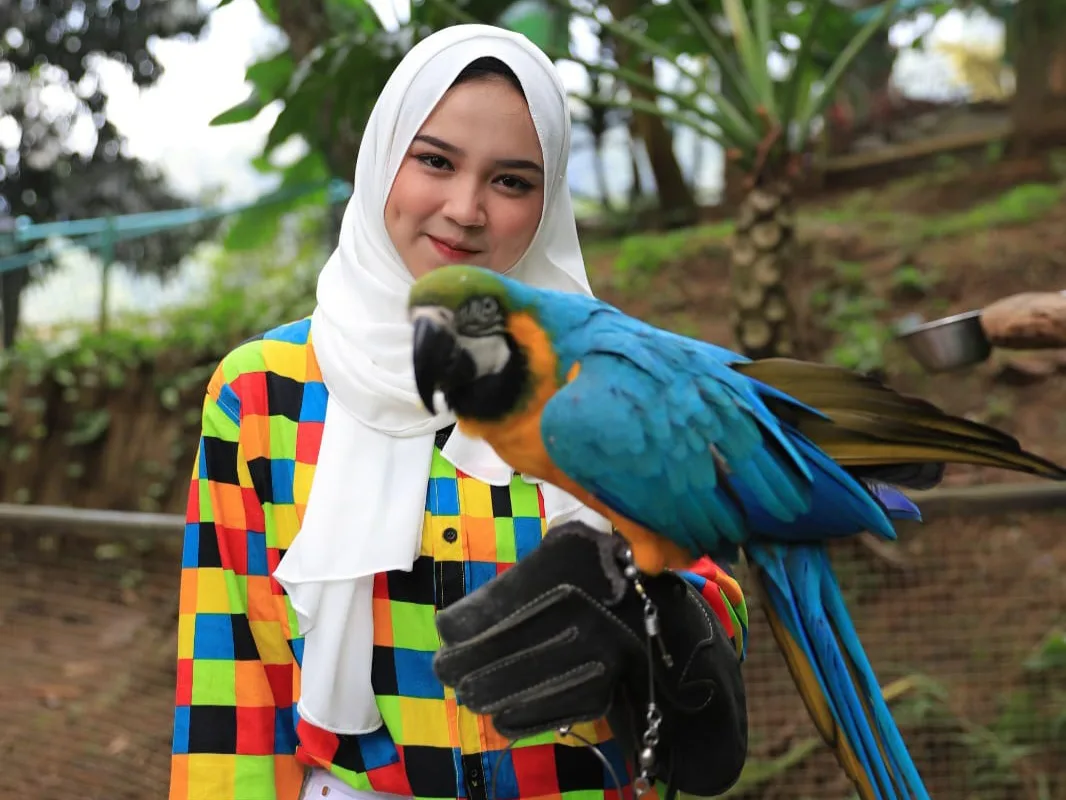 Wisata Alam Sevillage Puncak meluncurkan wahana baru Pojok Satwa.
