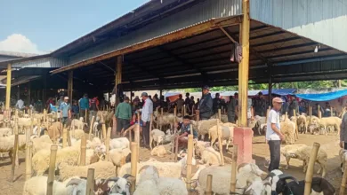 Pedagang Pasar Hewan Cikaret Resah Usai Ramai Wacana Munculnya Pasar Sukanagara