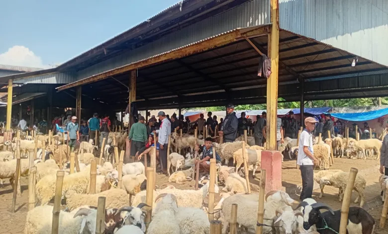 Pedagang Pasar Hewan Cikaret Resah Usai Ramai Wacana Munculnya Pasar Sukanagara