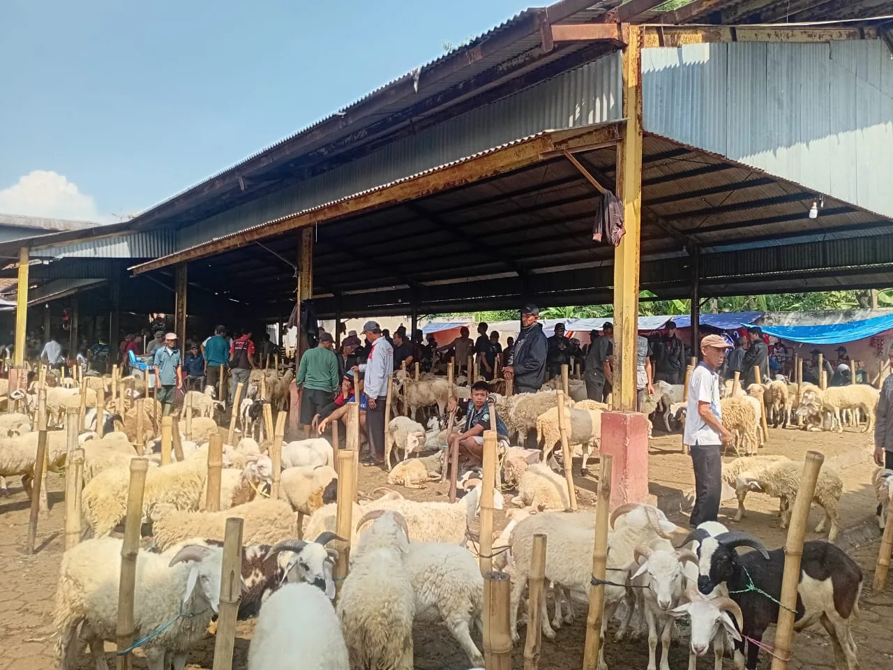 Pedagang Pasar Hewan Cikaret Resah Usai Ramai Wacana Munculnya Pasar Sukanagara
