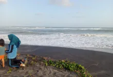 Gelombang pasang setinggi 10 meter menerjang pesisir Cianjur Selatan, merusak fasilitas di Pantai Apra. BPBD melarang aktivitas warga dan wisatawan demi keselamatan.