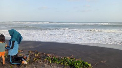 Gelombang pasang setinggi 10 meter menerjang pesisir Cianjur Selatan, merusak fasilitas di Pantai Apra. BPBD melarang aktivitas warga dan wisatawan demi keselamatan.