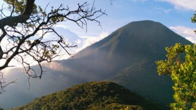Rindu pemandangan ini? Tahan dulu, ya! Untuk sementara, biarlah para atlet lari trail yang mengambil alih jalur pendakian Gede Pangrango.