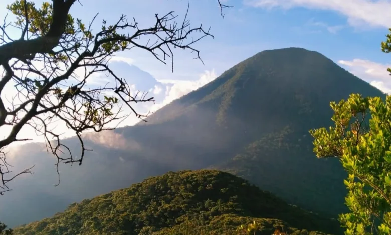 Rindu pemandangan ini? Tahan dulu, ya! Untuk sementara, biarlah para atlet lari trail yang mengambil alih jalur pendakian Gede Pangrango.