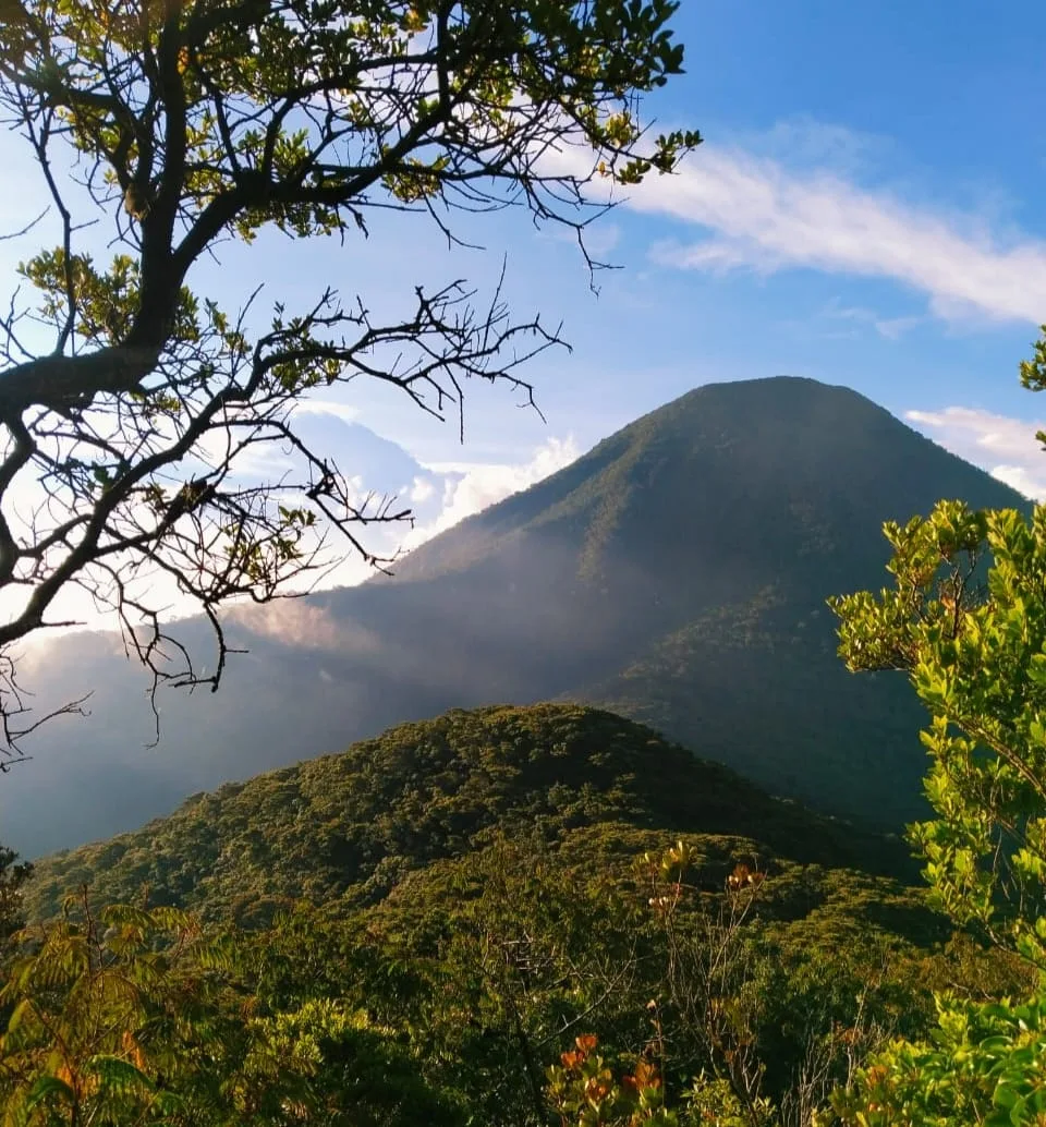 Rindu pemandangan ini? Tahan dulu, ya! Untuk sementara, biarlah para atlet lari trail yang mengambil alih jalur pendakian Gede Pangrango.