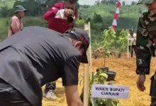 PENANAMAN SIMBOLIS: Wakil Bupati Cianjur, Abi Ramzi, melakukan penanaman pohon saat menghadiri acara pembukaan TNI Manunggal Membangun Desa (TMMD) ke-126