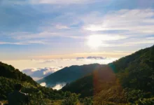Pemandangan Puncak Gede Pangrango Belum Bisa Dinikmati, BBTNGGP Pastikan Kabar Buka Pendakian 5 November Hoaks
