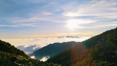 Pemandangan Puncak Gede Pangrango Belum Bisa Dinikmati, BBTNGGP Pastikan Kabar Buka Pendakian 5 November Hoaks