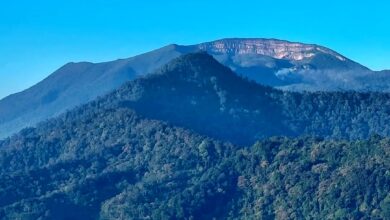 Bupati Cianjur Tantang Proyek Nasional Geothermal, Janji Kembangkan Wisata Alam di Gunung Gede Pangrango