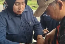 Petugas Satpol PP dan Damkar Kabupaten Cianjur memeriksa tumpukan rokok ilegal yang berhasil diamankan dari pedagang saat operasi gabungan bersama Bea Cukai Bogor.