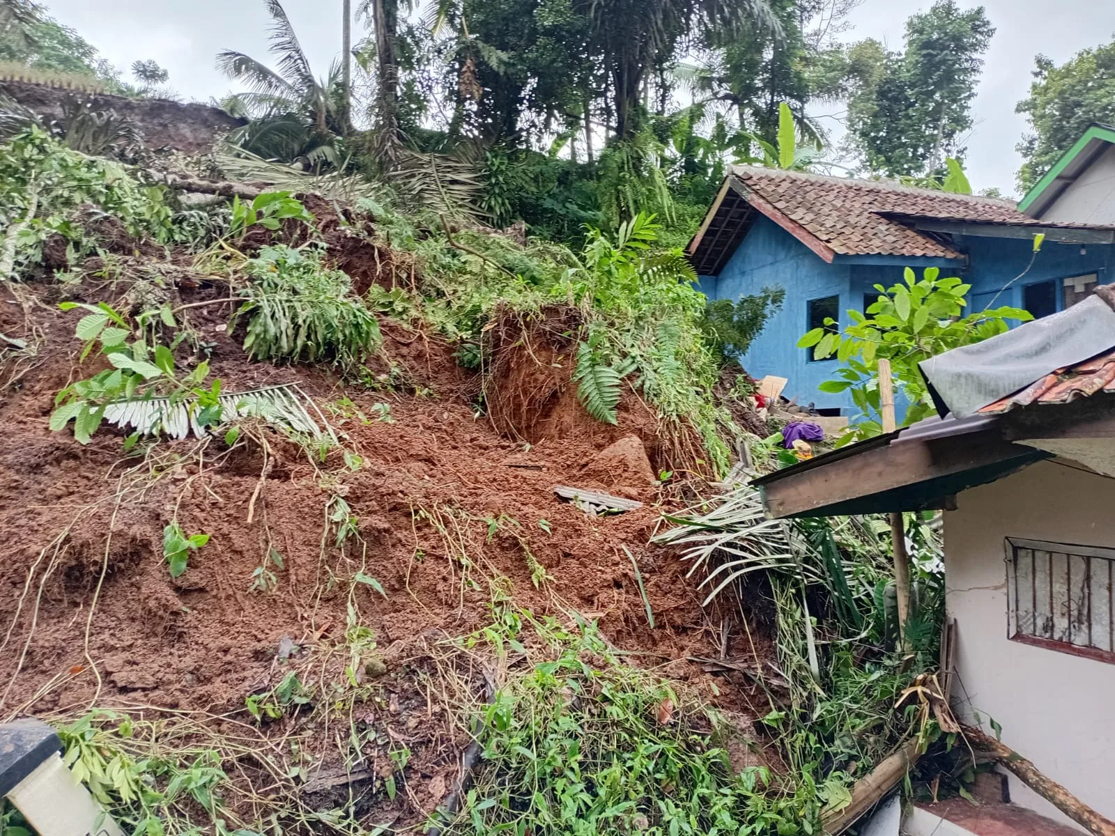 Bencana longsor menerjang Kampung Pasir Tunagan, Cugenang, Cianjur, Senin (11/10), akibat hujan deras. Satu rumah warga tertimbun material longsor dan 20 jiwa terpaksa mengungsi. (Fauzi/Cianjurupdate)