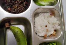 Tampilan sajian Makan Bergizi Gratis (MBG) berisi nasi, olahan ikan teri kacang, dan pisang yang disajikan untuk siswa TK di Kecamatan Cikalongkulon, Cianjur. Menu ini sempat viral dan menuai beragam reaksi publik terkait kesesuaian lauk bagi anak usia dini. (foto: Istimewa)