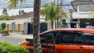 Kondisi instalasi kabel dan panel kontrol lampu hias yang terpasang di batang pohon di pinggir jalan protokol Cianjur, Senin (15/12/2025). Posisi panel yang rendah menjadi perhatian Dinas Perkim untuk segera melakukan pengamanan ekstra agar tidak membahayakan warga, terutama anak-anak.
