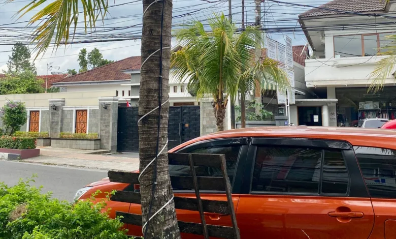 Kondisi instalasi kabel dan panel kontrol lampu hias yang terpasang di batang pohon di pinggir jalan protokol Cianjur, Senin (15/12/2025). Posisi panel yang rendah menjadi perhatian Dinas Perkim untuk segera melakukan pengamanan ekstra agar tidak membahayakan warga, terutama anak-anak.