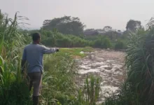Warga Keluhankan Bau, Oknum Tak Bertanggungjawab Diduga Buang Limbah Kotoran Ayam di Lahan Eks HGU Mulyasari