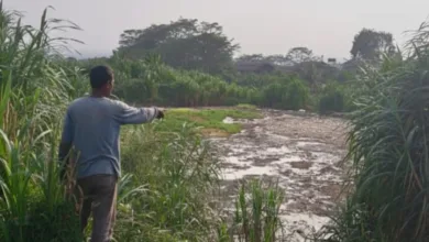 Warga Keluhankan Bau, Oknum Tak Bertanggungjawab Diduga Buang Limbah Kotoran Ayam di Lahan Eks HGU Mulyasari