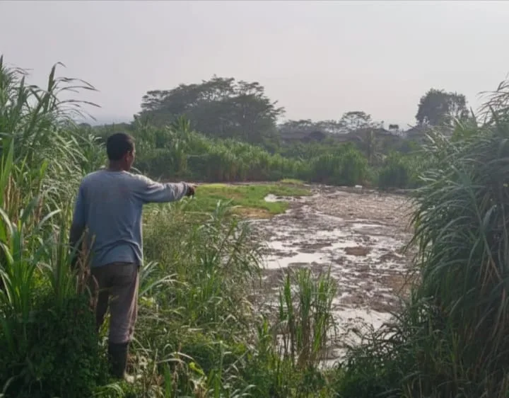 Warga Keluhankan Bau, Oknum Tak Bertanggungjawab Diduga Buang Limbah Kotoran Ayam di Lahan Eks HGU Mulyasari