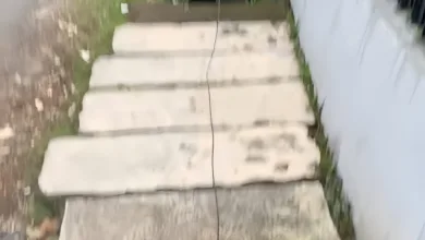 Kabel provider WiFi terlihat menjuntai rendah hingga menyentuh jalan setapak di Panembong, Desa Mekarsari, Cianjur. Kondisi ini dikeluhkan warga karena dinilai membahayakan.