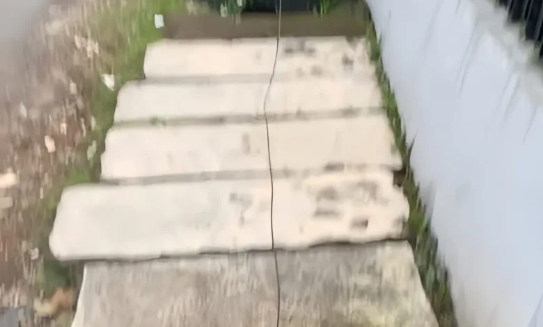 Kabel provider WiFi terlihat menjuntai rendah hingga menyentuh jalan setapak di Panembong, Desa Mekarsari, Cianjur. Kondisi ini dikeluhkan warga karena dinilai membahayakan.