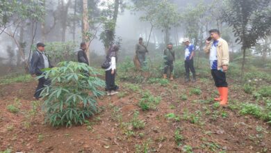 Pemerintah Desa Cibanteng bersama pihak kecamatan dan pengelola hutan desa melakukan verifikasi ulang serta pemetaan kawasan hutan seluas 600 hektar di wilayah Kecamatan Sukaresmi, Cianjur.