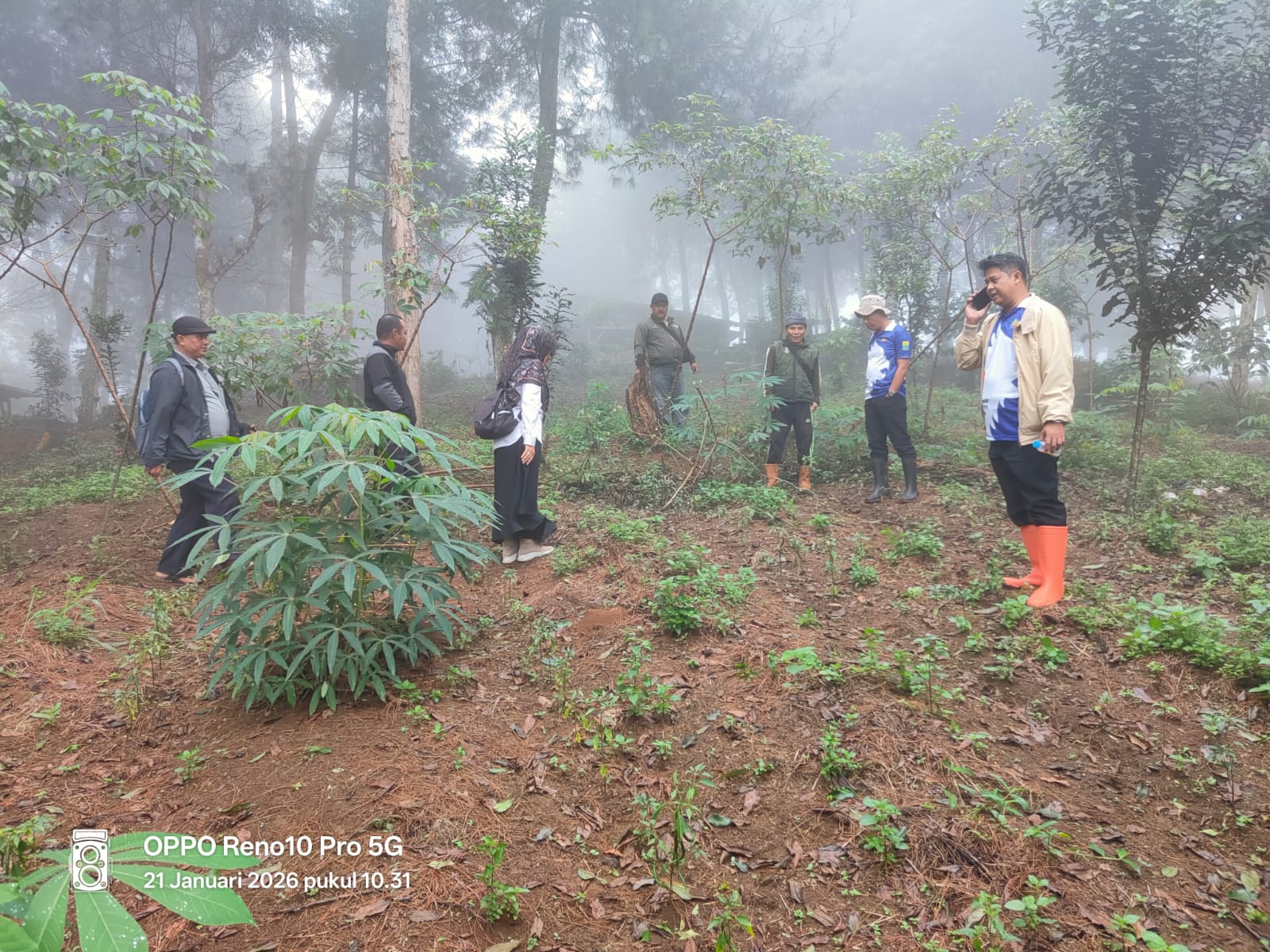 Pemerintah Desa Cibanteng bersama pihak kecamatan dan pengelola hutan desa melakukan verifikasi ulang serta pemetaan kawasan hutan seluas 600 hektar di wilayah Kecamatan Sukaresmi, Cianjur.