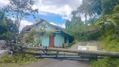 Tiang listrik tumbang akibat diterjang angin kencang hingga menutup akses jalan utama Desa Wangunjaya, Kecamatan Cugenang, Cianjur.