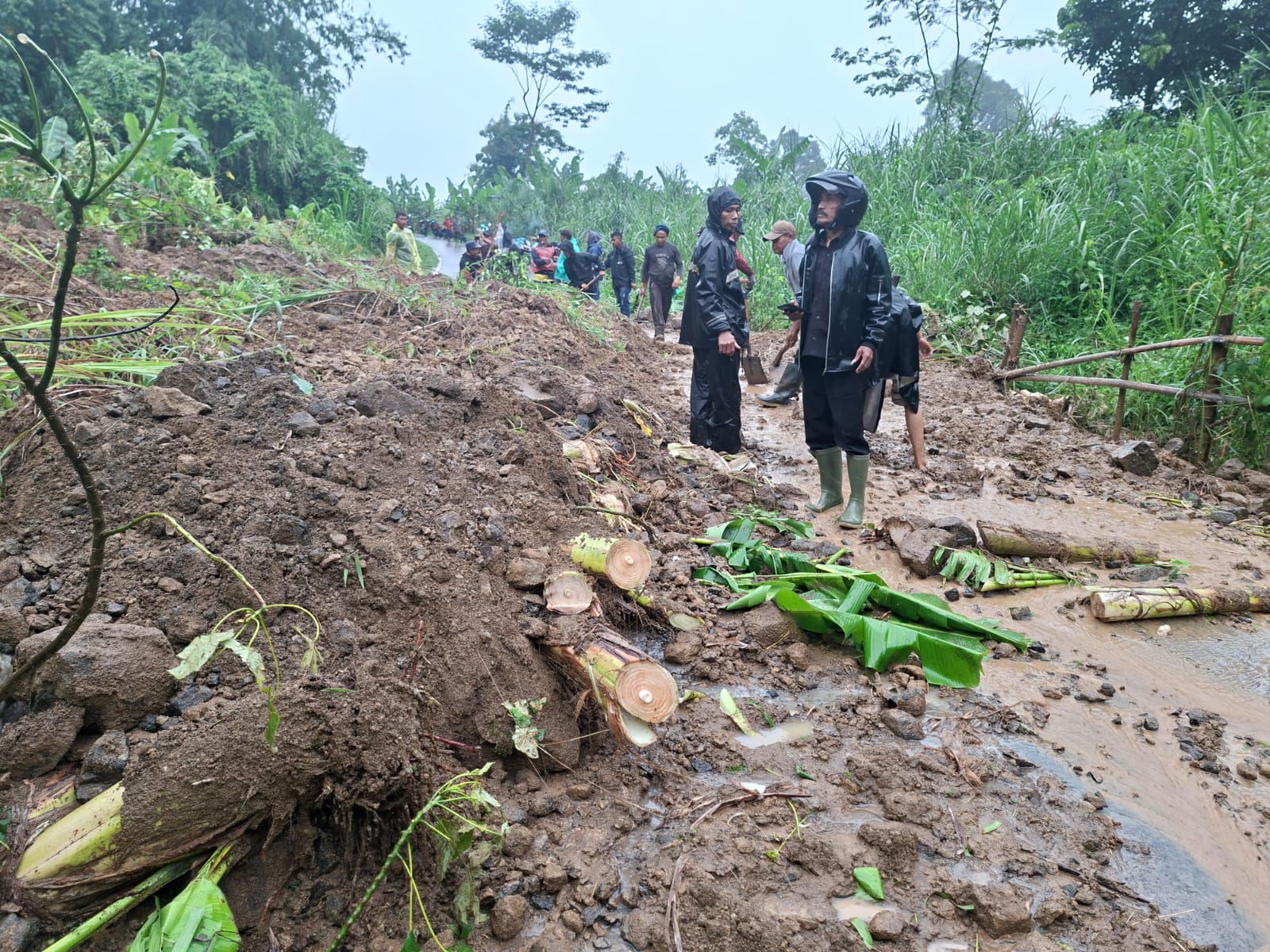 Aparat Polsek Cikalongkulon bersama pemerintah desa dan warga melakukan penanganan awal tanah longsor yang menutup jalur alternatif penghubung Desa Mekarsari–Mekarjaya, Kecamatan Cikalongkulon, Kabupaten Cianjur, Kamis (29/1/2026). Foto: Istimewa