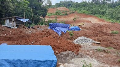 Kondisi Bukit Rindang di Desa Mande, Kecamatan Mande, Kabupaten Cianjur. Foto: Istimewa
