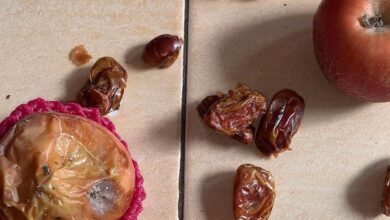 Miris! Menu MBG Ramadan di Cianjur Diduga Berisi Apel Busuk dan Kurma Tak Layak Konsumsi