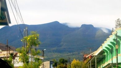 Keindahan Gunung Gede Pangrango menyambut babak baru pendakian dengan penerapan teknologi RFID demi keselamatan dan pengendalian pendaki ilegal. Foto: Rendi Irawan/CianjurUpdate