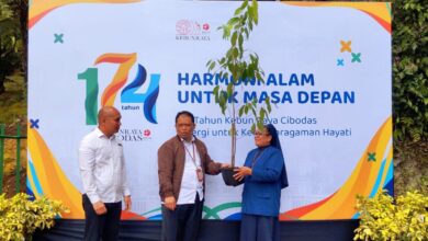 Penyerahan bibit pohon langka dalam rangkaian peringatan HUT ke-174 Kebun Raya Cibodas di Cianjur, Senin (13/4/2026).
