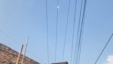 Insiden layangan di Cipanas memicu kepanikan warga setelah seorang bocah mengalami shock. Warga Desa Batu Lawang menuntut relokasi jaringan SUTM demi keselamatan, sementara PLN memastikan instalasi sudah sesuai standar. Foto: Istimewa