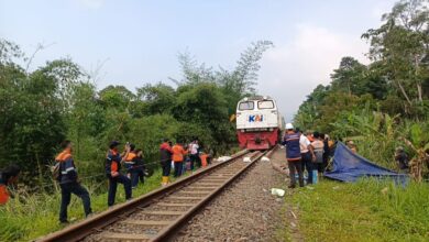 Petugas PT Kereta Api Indonesia melakukan perbaikan jalur rel terdampak gogosan di petak Cibeber–Lampegan, Cianjur, hingga akhirnya perjalanan KA Siliwangi kembali normal. Foto: Istimewa