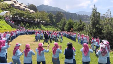 Para peserta mengikuti kegiatan gathering dengan berbagai permainan kelompok di kawasan TWA Sevillage Puncak, Cianjur. Aktivitas outdoor ini menjadi daya tarik utama yang mendorong tingkat hunian penginapan selalu penuh saat akhir pekan. Foto: Dok. Sevillage