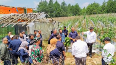 Investor Cina Tinjau Perkebunan Teh PTPN I Jabar, Siap Pengembangan Bisnis Bawang Merah dan Putih