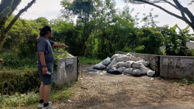 Puluhan karung limbah usus ayam dibuang sembarangan di Kampung Gempol, Desa Babakancaringin, Kecamatan Karangtengah, Cianjur, menimbulkan bau menyengat dan dikeluhkan warga. Foto: Istimewa