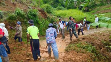 Tertutup Material Tanah, Warga Desa Cibadak Cibeber Gotong Royong Bersihkan Jalan Secara Swadaya