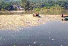 Tumpukan sampah menutupi aliran Sungai Cikundul di Kampung Maleber, Desa Gudang, Kecamatan Cikalongkulon, Kabupaten Cianjur. Foto: Istimewa