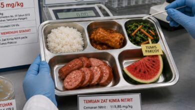 Ilustrasi menu MBG.