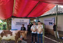 YBM PLN UP3 Cianjur kembali menebar kepedulian di momen Idul Adha 1447 H melalui program “Tebar Berkah Daging”. Ratusan paket daging siap olah disalurkan kepada warga di Desa Sukamulya, Kecamatan Cugenang, Kabupaten Cianjur. Foto: Istimewa