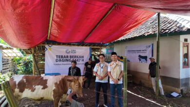 YBM PLN UP3 Cianjur kembali menebar kepedulian di momen Idul Adha 1447 H melalui program “Tebar Berkah Daging”. Ratusan paket daging siap olah disalurkan kepada warga di Desa Sukamulya, Kecamatan Cugenang, Kabupaten Cianjur. Foto: Istimewa