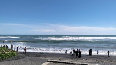 Sejumlah wisatawan lokal beraktivitas di area pasir hitam Pantai Apra, Sindangbarang, Cianjur,