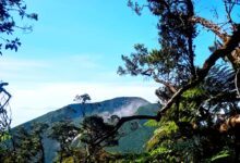 Gunung Gede Pangrango. Foto: Rendi Irawan