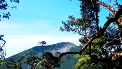Gunung Gede Pangrango. Foto: Rendi Irawan